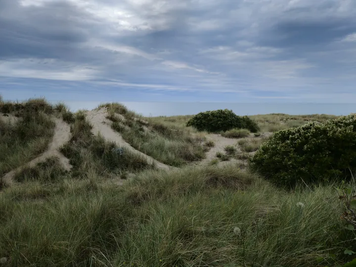 Bredene (België)